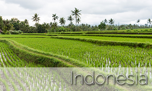 Indonesia